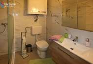 Vogelgezwitscher statt Straßenlärm!! Rarität!! Waldhäuschen zu mieten, sehr ruhig gelegen 1 Zimmer, Bad, WC kleine Küche in Oberpullendorf