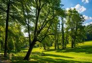 Einmaliges Panorama-Grundstück in Pötzleinsdorf – Wohnen zwischen Natur und urbaner Eleganz. Inklusive genehmigtem Bauplan.