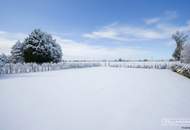 GOLS beim Neusiedler See | ERSTBEZUG | exklusive Villa mit Pool &amp; Sauna &amp; großem Garten | ZELLMANN IMMOBILIEN