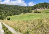 Einzigartige Landwirtschaft inkl. Hofstelle und eigener Quelle, umgeben von 52 ha arrondierter Wald- und Wiesenfläche