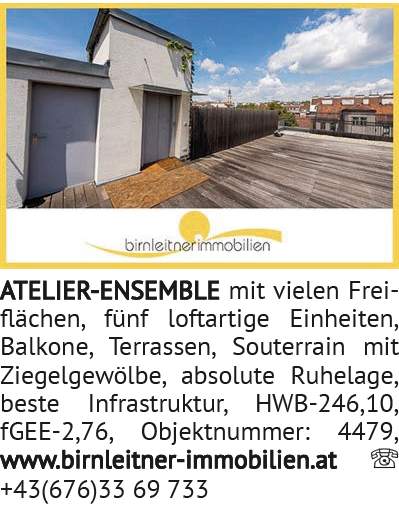 ATELIER-ENSEMBLE mit vielen Freiflächen, fünf loftartige Einheiten, Balkone, Terrassen, Souterrain m