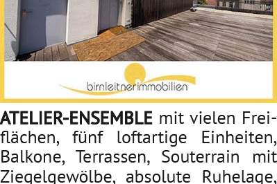 ATELIER-ENSEMBLE mit vielen Freiflächen, fünf loftartige Einheiten, Balkone, Terrassen, Souterrain m, Gewerbeobjekt-kauf, 1180 Wien 18., Währing
