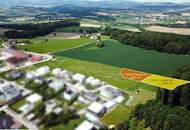 📍 Grundstück 1239/38