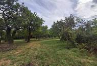 ,,Kleines Haus und großer Obstgarten in Hornstein!"