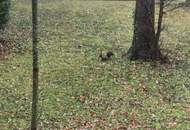 2 Zimmer in einem gepflegten Haus, thermisch saniert. Ruhelage.