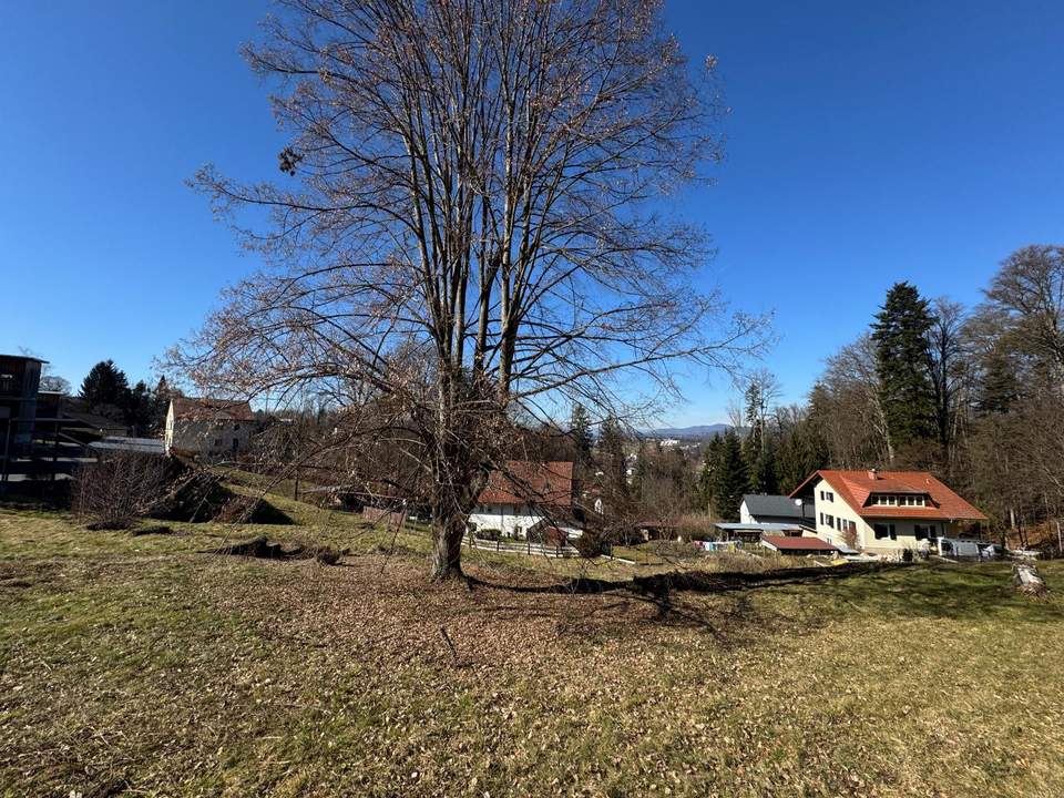 Sonniges Grundstück vor den Toren von Graz