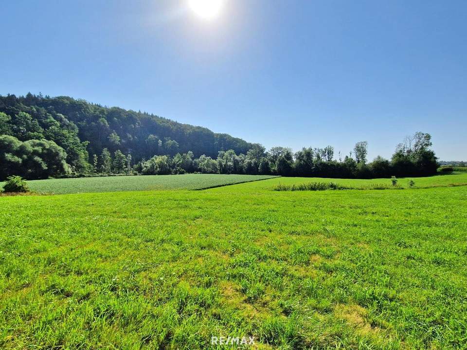 Ihr Unternehmensstandort mit Zukunft – Betriebsbaugrund in Top-Lage