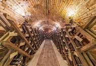 Wohnen über dem Weinkeller – Einzigartige Wohnung mit Dachterrasse in Hollabrunn!