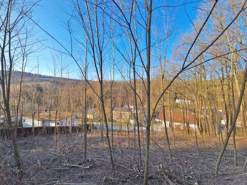 Sonniges Baugrundstück auf Südwest-Hang im Irenental