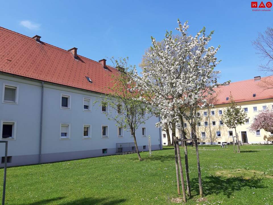 Wohnen und Wohlfühlen in Steyr Münichholz: Bezaubernde Single-Wohnung mit separatem Schlafzimmer und Wohlfühlcharakter! Umfassende Sanierung in Arbeit - bezugsfertig ab November 2024!