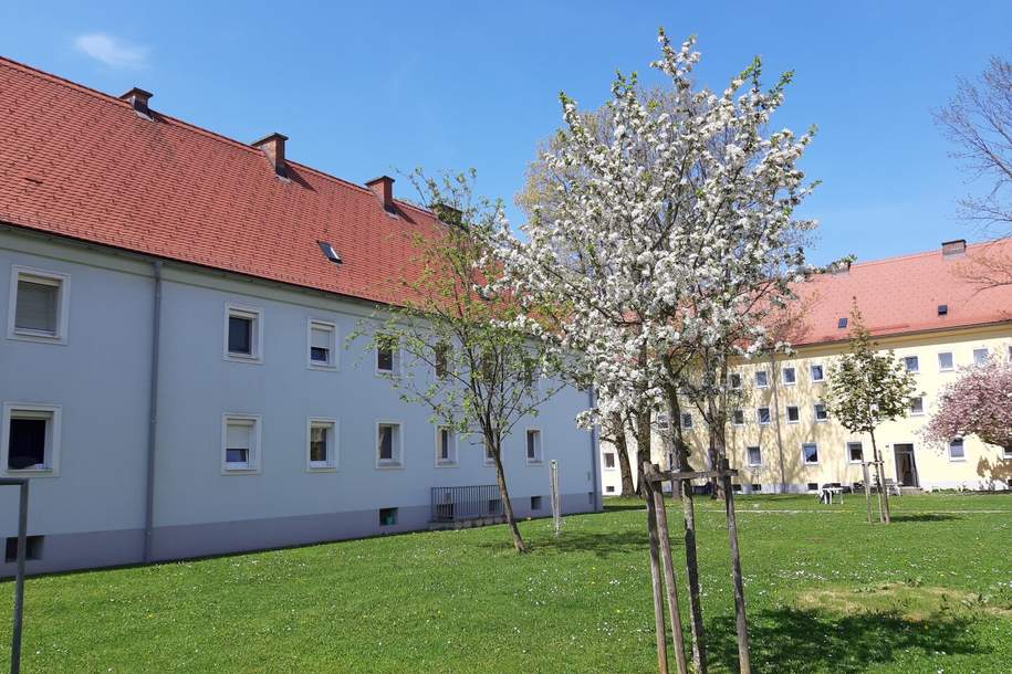 Wohnen und Wohlfühlen in Steyr Münichholz: Bezaubernde Single-Wohnung mit separatem Schlafzimmer und Wohlfühlcharakter! Umfassende Sanierung in Arbeit - bezugsfertig ab November 2024!, Wohnung-miete, 324,37,€, 4400 Steyr(Stadt)