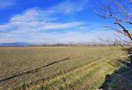 Den Sonnenuntergang genießen - Einfamilienhaus in ruhiger Lage!