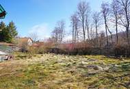 Einfamilienhaus mit Renovierungsbedarf auf teilbarem Grund in idyllischer Grünlage im Irenental