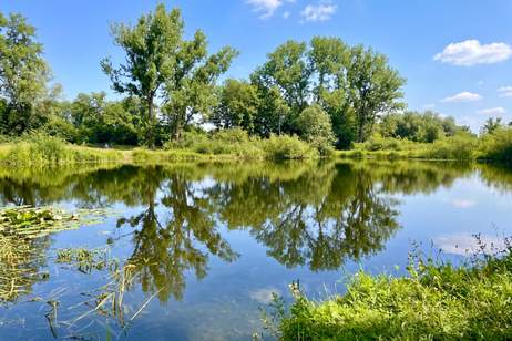 Lobau und Mühlwasser - Grundstück für 6 Reihenhäuser - sofortiger Baubeginn möglich, Grund und Boden-kauf, 1.095.000,€, 1220 Wien 22., Donaustadt