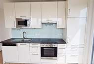 RENDITEOBJEKT IM GRÜNEN, freier Mietzins, 10 Wohneinheiten mit Freiflächen, 5 Stellplätze, 748 m2 Grundstück, Aspern, U2-Nähe