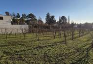 Villenbaugrund (1.335m²) in der Langenzersdorfer Kellergasse am Fuße des Bisambergs