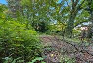 Baugrundstück in Bisamberg: Bauland Wohngebiet Widmung