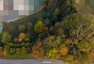 Vom Traum zum Zuhause – 821 m² Lebensfreude in Steinhaus - Grundstück mit vielen Möglichkeiten