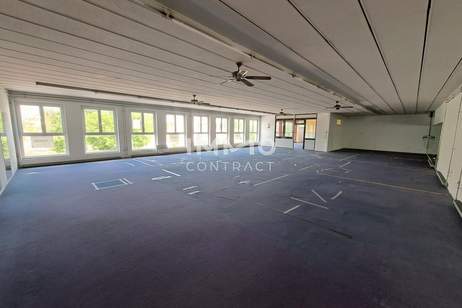 ++Großzügige Gewerbefläche in hochfrequentierter Lage / Staffelmiete++, Gewerbeobjekt-miete, 2.877,00,€, 4052 Linz-Land