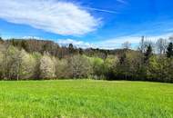 SOMMERAKTION – RIES: Leistbares, sonniges Grundstück am Rande von Graz!