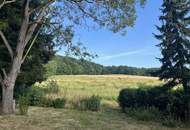 Natur pur - Holzblockhaus eingebettet in sonniger Ruhelage