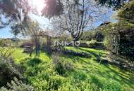 Landhaus mit Charme - Rückzugsort im Grünen