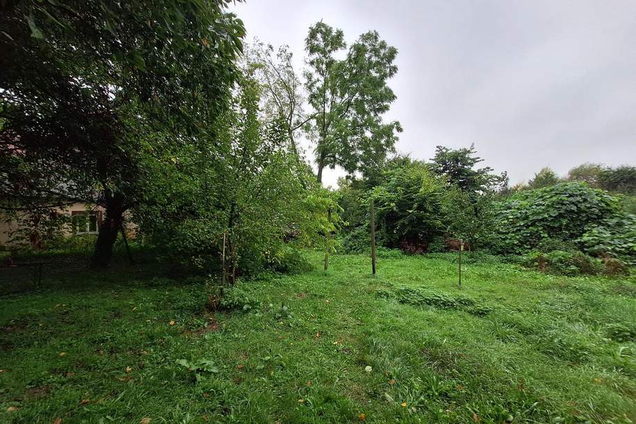 Bauland Agrargebiet und Grünland mit ehem. Bauernhaus, Grund und Boden-kauf, 260.000,€, 3124 Sankt Pölten(Land)