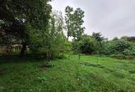 Bauland Agrargebiet und Grünland mit ehem. Bauernhaus