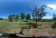 *ORTSRANDLAGE:* Wohnhaus mit sehr schönem, ebenen Garten und großzügigem Grundstück.