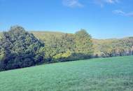 Verwilderter, mit alten Sorten bestückter Obstgarten im Moment als Wald gewidmet RODUNG bewilligt