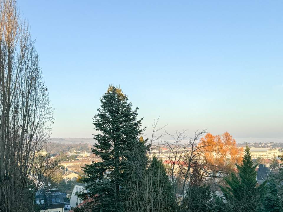 Renovierungsbedürftige Singlewohnung mit schönem Ausblick