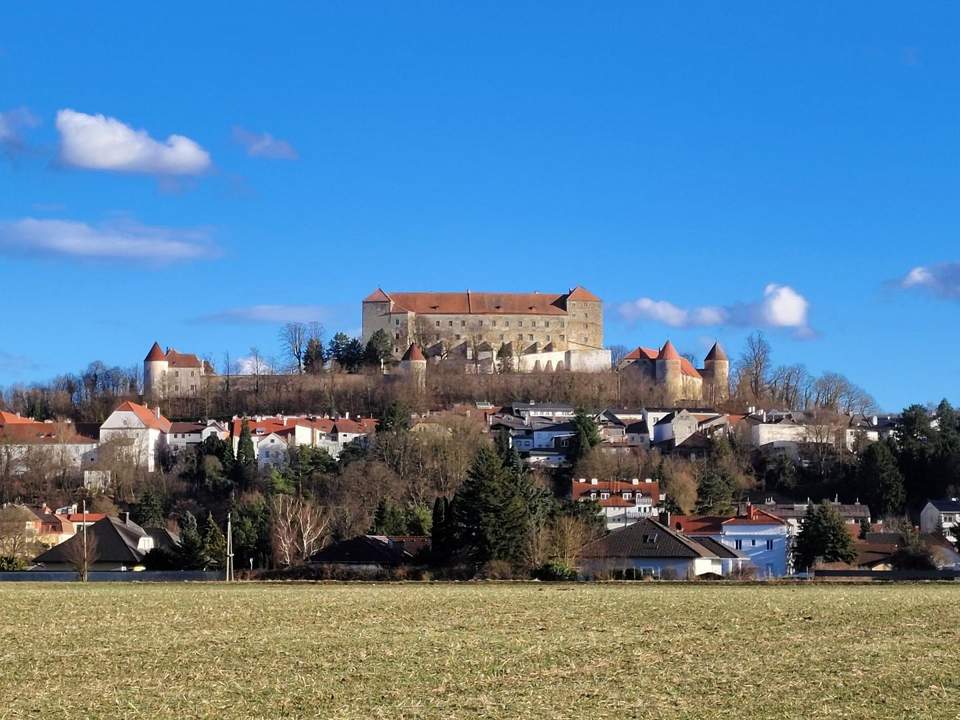 Sanierte 3 Zimmer Wohnung mit Loggia und Garagenplatz