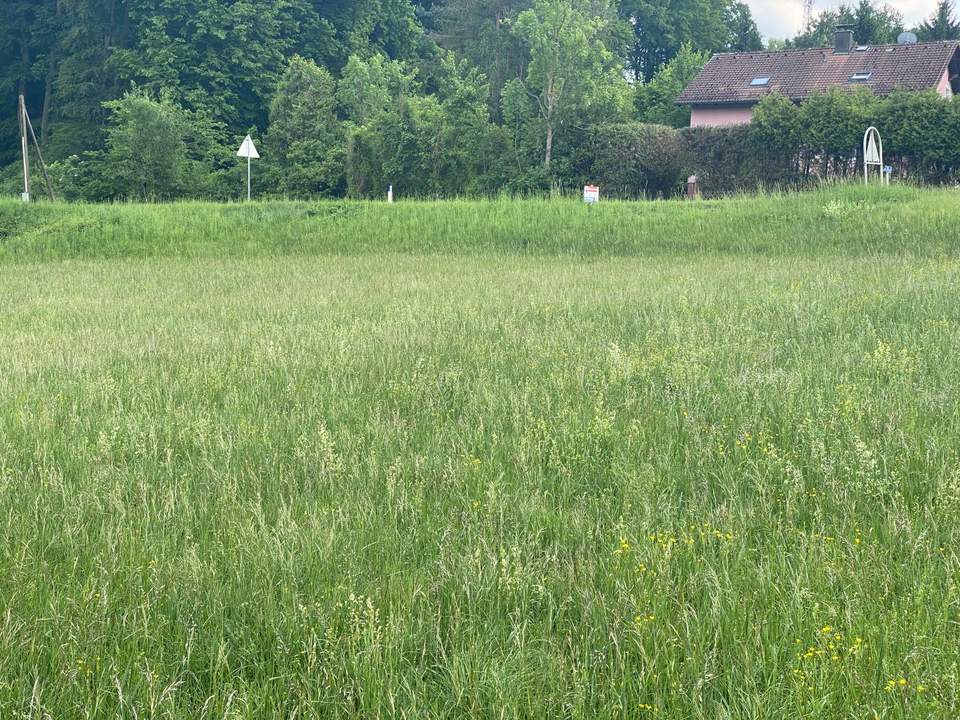 "Baugrund für Ihr Eigenheim in Ried am Riederberg ohne Bauzwang - Leben im Wienerwald "