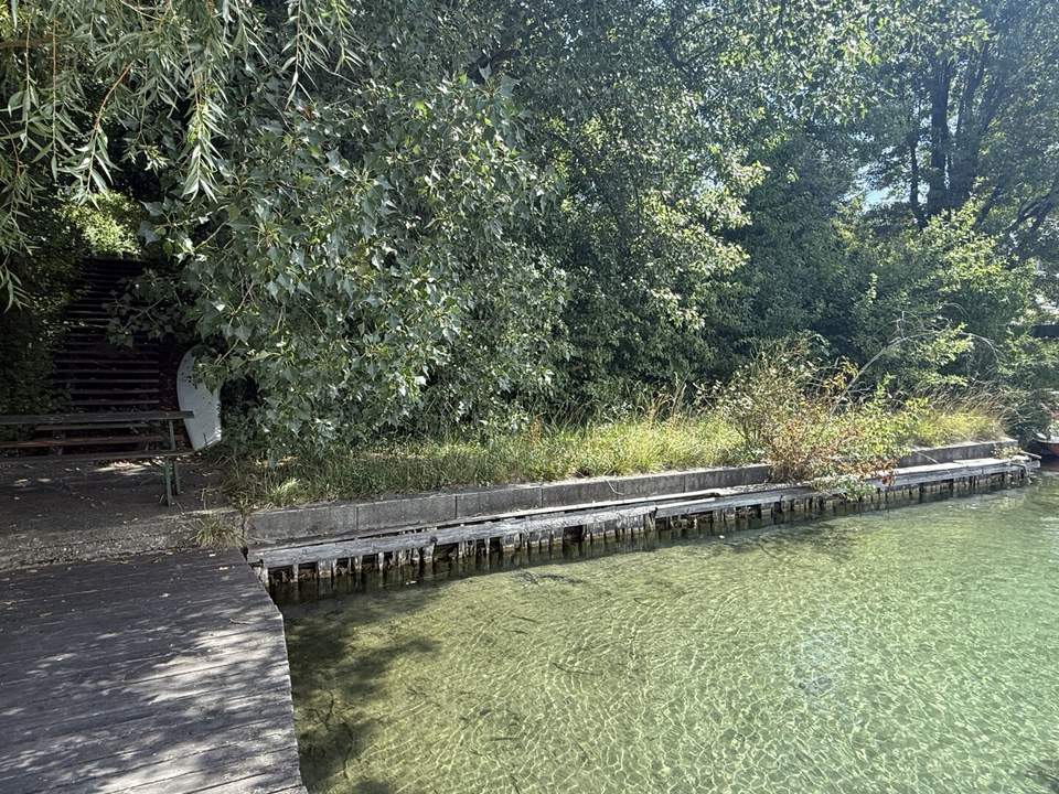 große UFERPAZRELLE mit privatem Badesteg am Neufelder See – Holzhaus mit Renovierungsbedarf beim Yachtclub auf Pachtgrund zu verkaufen