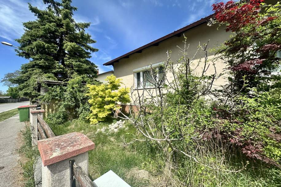 Sanierungsbedürftiges Einfamilienhaus mit großem Entwicklungspotenzial auf großzügigem Grundstück!, Haus-kauf, 229.000,€, 2294 Gänserndorf