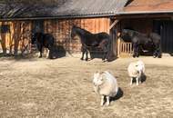 Sonnige Alleinlage im Naturpark Südsteiermark (Provisionsfrei)