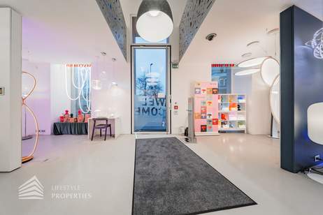 Großflächiges Geschäftslokal auf 2 Etagen in Toplage, Gewerbeobjekt-miete, 9.264,58,€, 1010 Wien 1., Innere Stadt