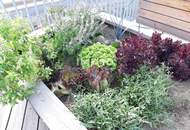 1. MONAT MIETFREI TOP 2-ZIMMERWOHNUNG MIT BALKON