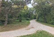 MONTE LAA! GROSSARTIGE 4-ZIMMER DG-MAISONETTE MIT TERRASSEN UND ATRIUM! 3D-tour!