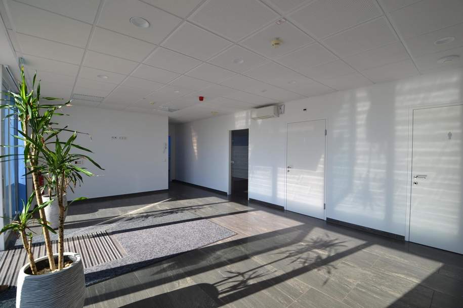 Repräsentative Schau-/Büroflächen zu mieten- barrierefrei!, Gewerbeobjekt-miete, 2.357,18,€, 3321 Amstetten