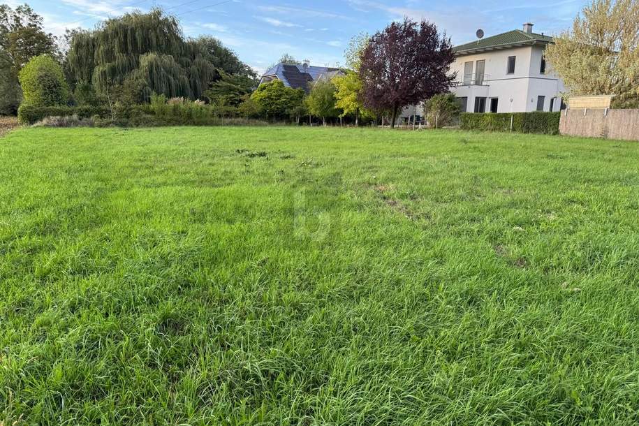 RUHIGE LAGE FÜR IHRE WOHNTRÄUME, Grund und Boden-kauf, 412.500,€, 4614 Wels-Land