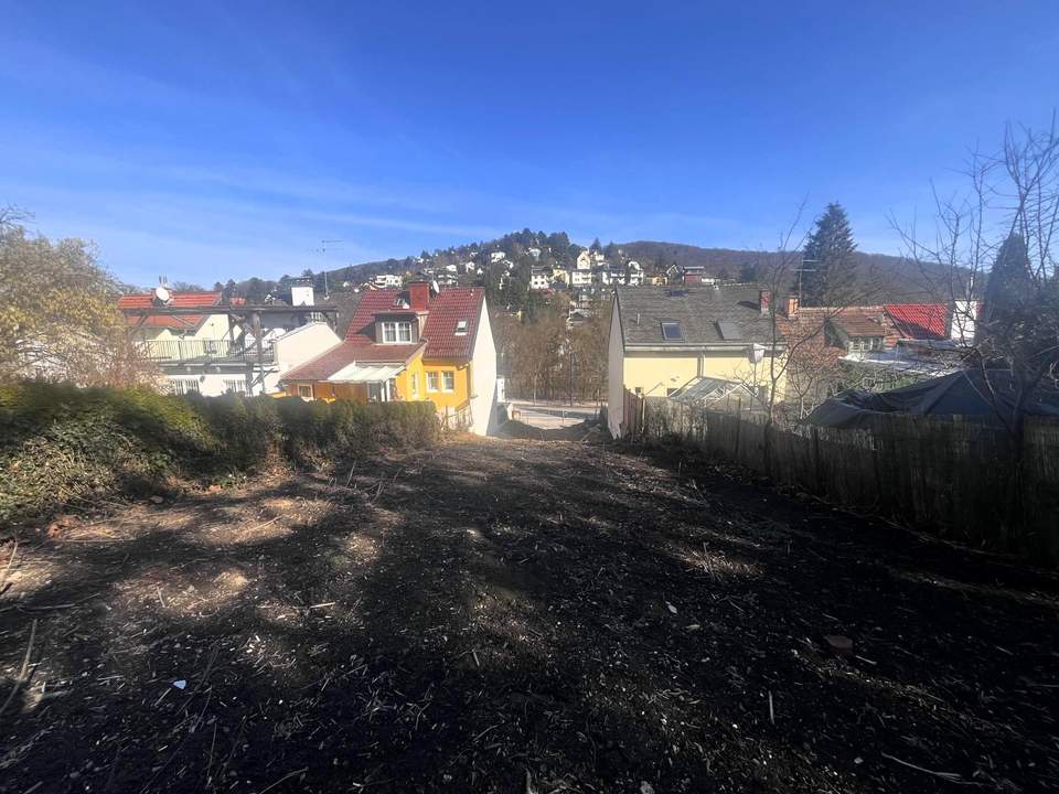 "Rarität in Penzing"