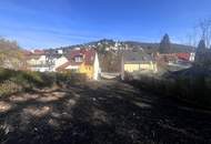 "Rarität in Penzing"