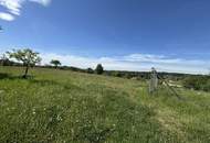 Sonnige Landwirtschaftsfläche mit vielseitigem Potenzial - ideal für Tierhaltung &amp; Naturprojekte