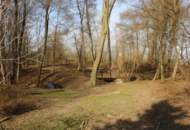 GEDIEGENE LANDVILLA MIT PARKÄHNLICHEM NATURPARADIES!