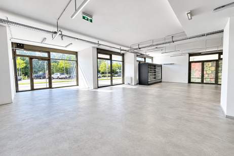 Leo am Teich - Wohnen am Badeteich Hirschstetten, Gewerbeobjekt-miete, 5.481,61,€, 1220 Wien 22., Donaustadt