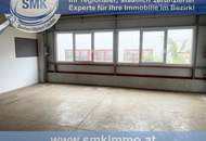 RARITÄT – GERÄUMIGE HALLE IN TRUMAU!