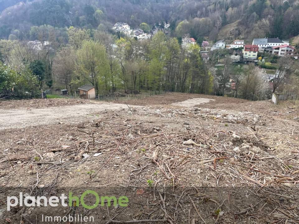 Grundstück in Hanglage in Kaltenleutgeben