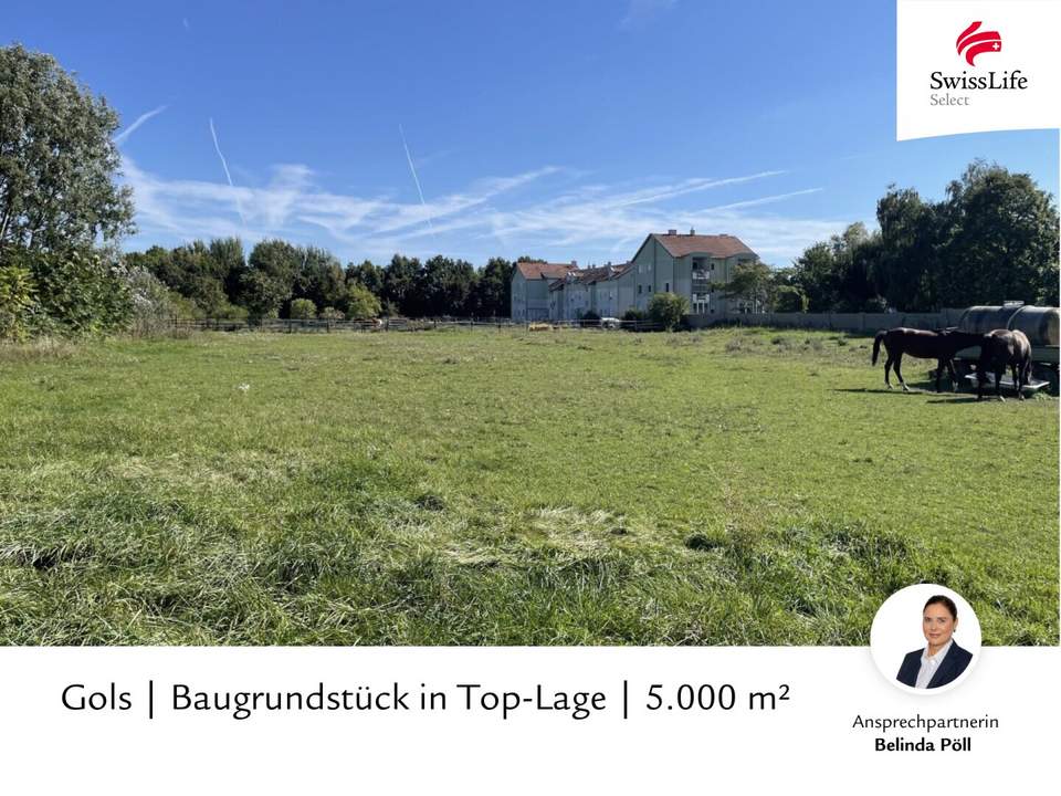 Gols | Baugrundstück in Top-Lage | 5.000 m²