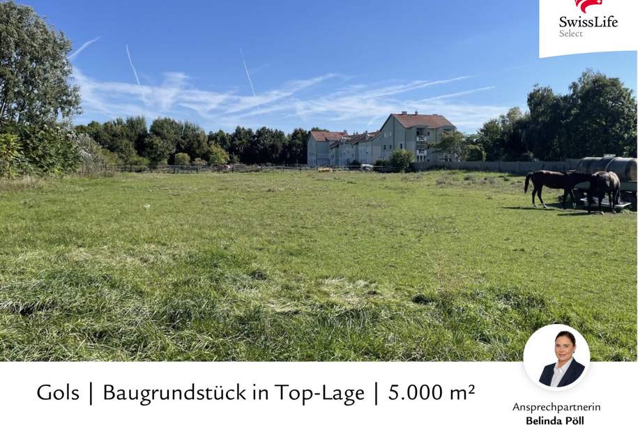 Gols | Baugrundstück in Top-Lage | 5.000 m², Grund und Boden-kauf, 1.450.000,€, 7122 Neusiedl am See